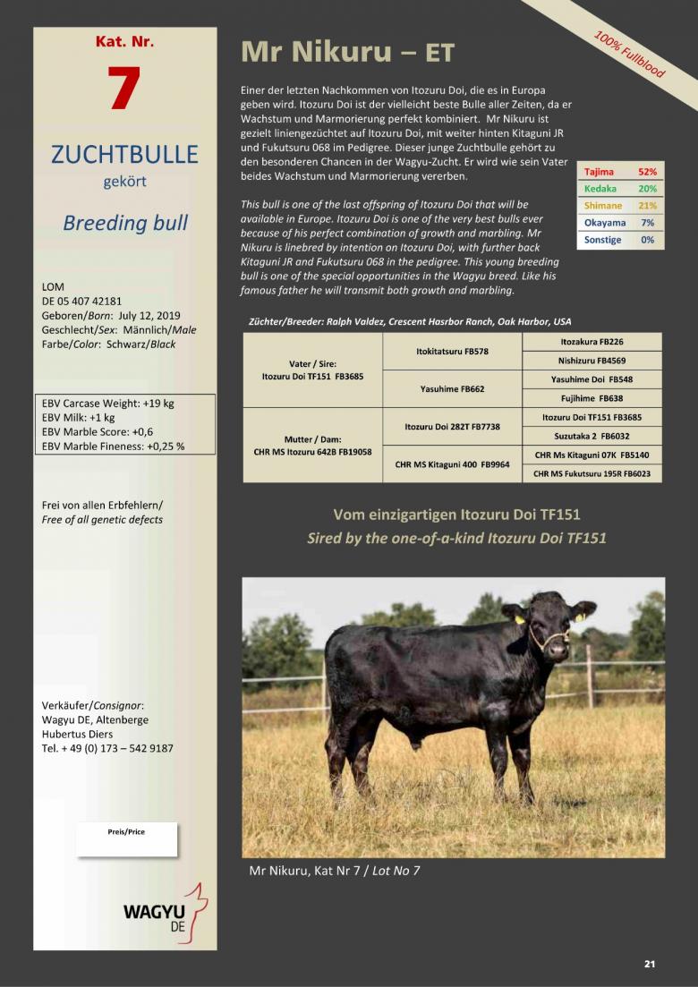 Datasheet for Lot 7. Mr Nikuru-ET