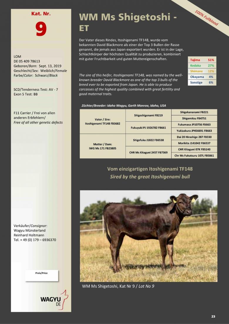 Datasheet for Lot 9. WM Ms Shigetoshi-ET