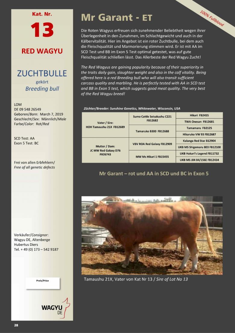 Datasheet for Lot 13. Mr Garant-ET