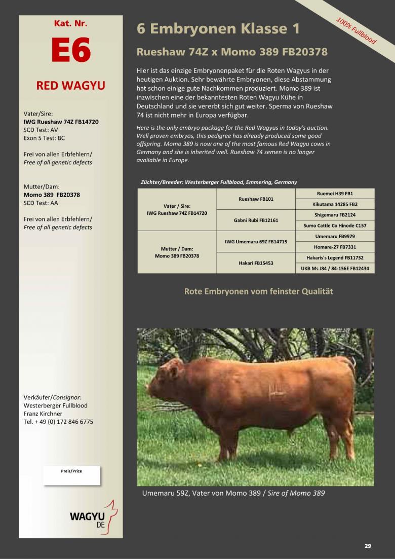 Datasheet for Lot E6. 6 embryos (Grade A) Rueshaw 74Z x  Momo 389 FB20378