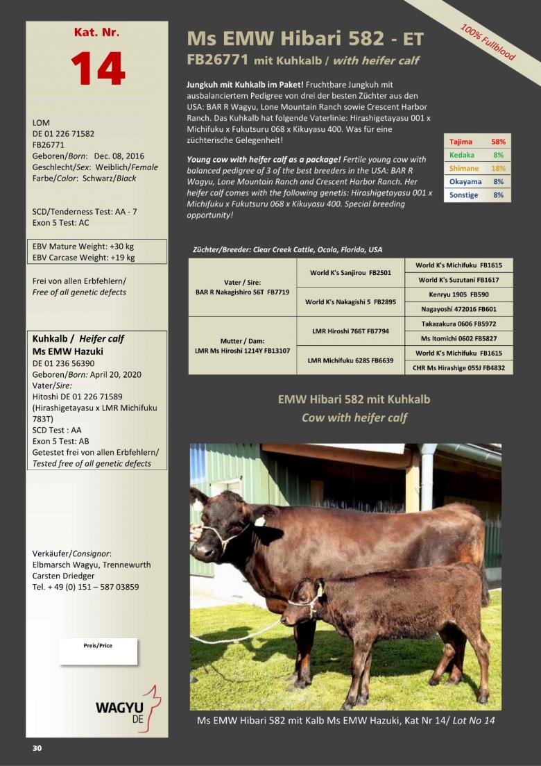 Datasheet for Lot 14. Ms EMW Hibari 582-ET