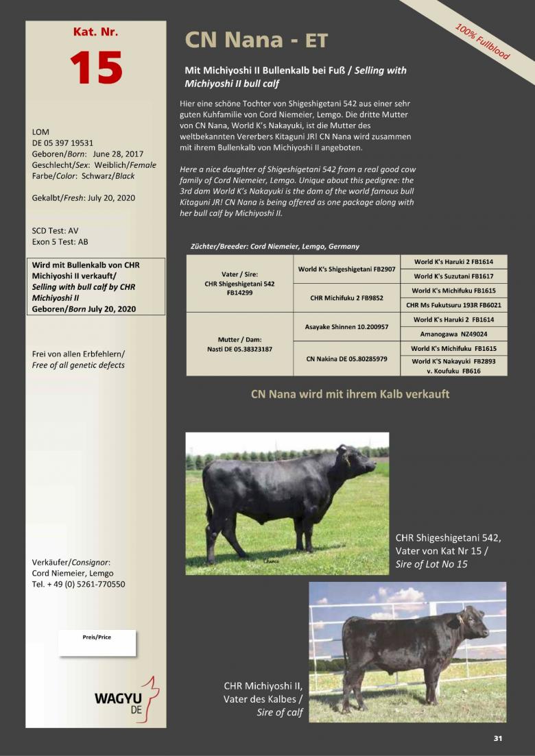 Datasheet for Lot 15. CN Nana-ET