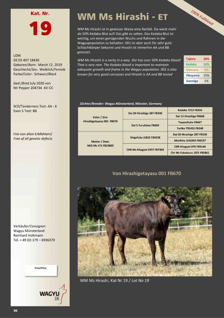 Datasheet for Lot 19. WM Ms Hirashi-ET