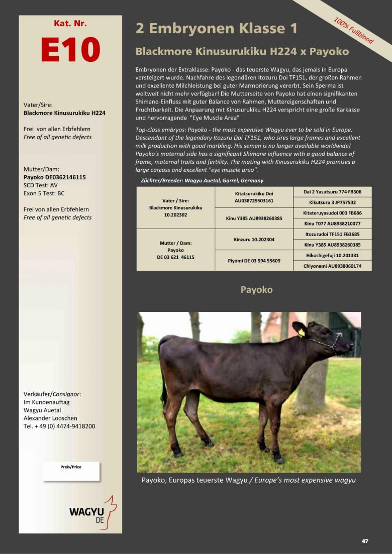 Datasheet for Lot E10. 2 embryos (Grade A) Blackmore Kinusurukiku 10.202302 x Payoko DE 03 621 46115