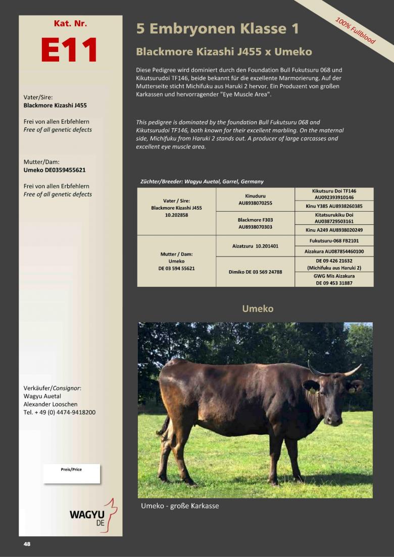 Datasheet for Lot E11. 5 embryos (Grade A) Blackmore Kizashi J455 10.202858 x Umeko DE 03 594 55621