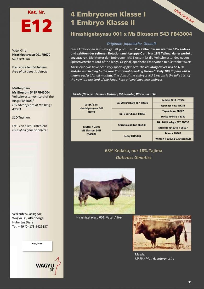 Datasheet for Lot E12. 5 embryos (#4 Grade A/ #1 Grade B) Hirashigetayasu 001 x Ms Blossom 543 FB43004