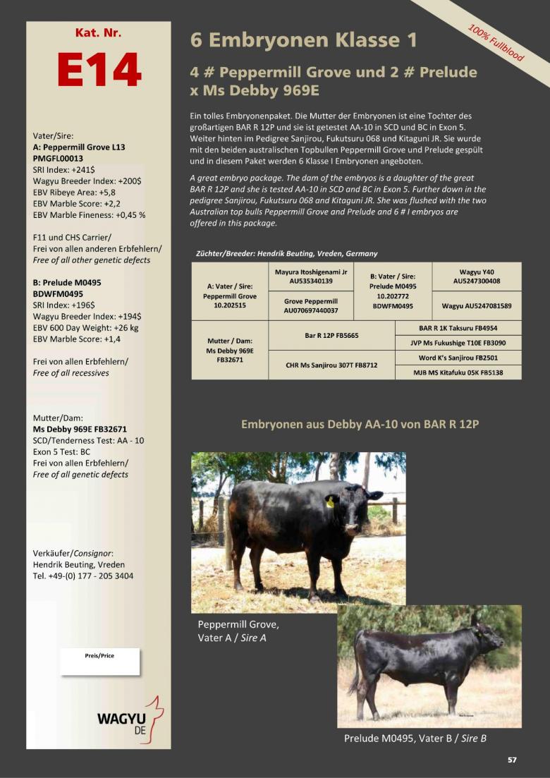 Datasheet for Lot E14. 6 embryos (Grade A) #4 Peppermill Grove / #2 Prelude x Ms Debby 969E