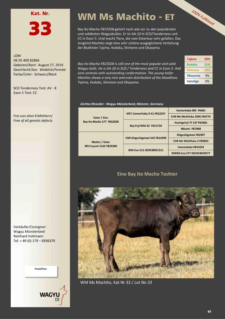 Datasheet for Lot 33. WM Ms Machito-ET