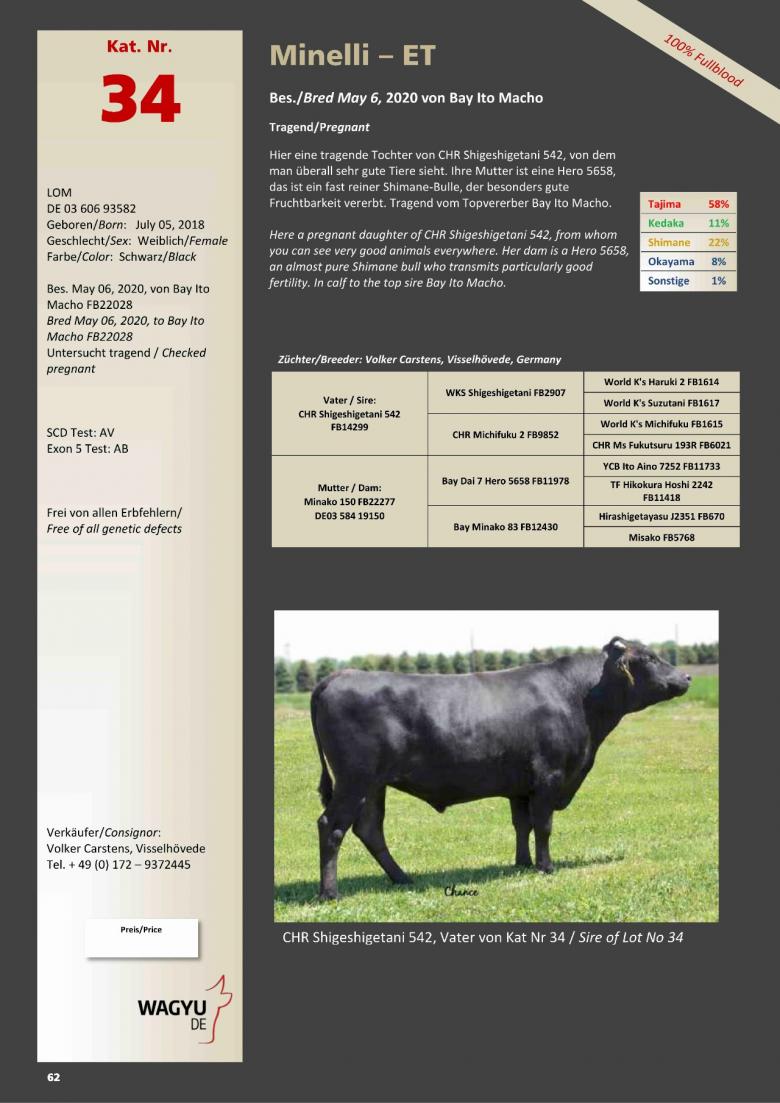 Datasheet for Lot 34. Minelli-ET