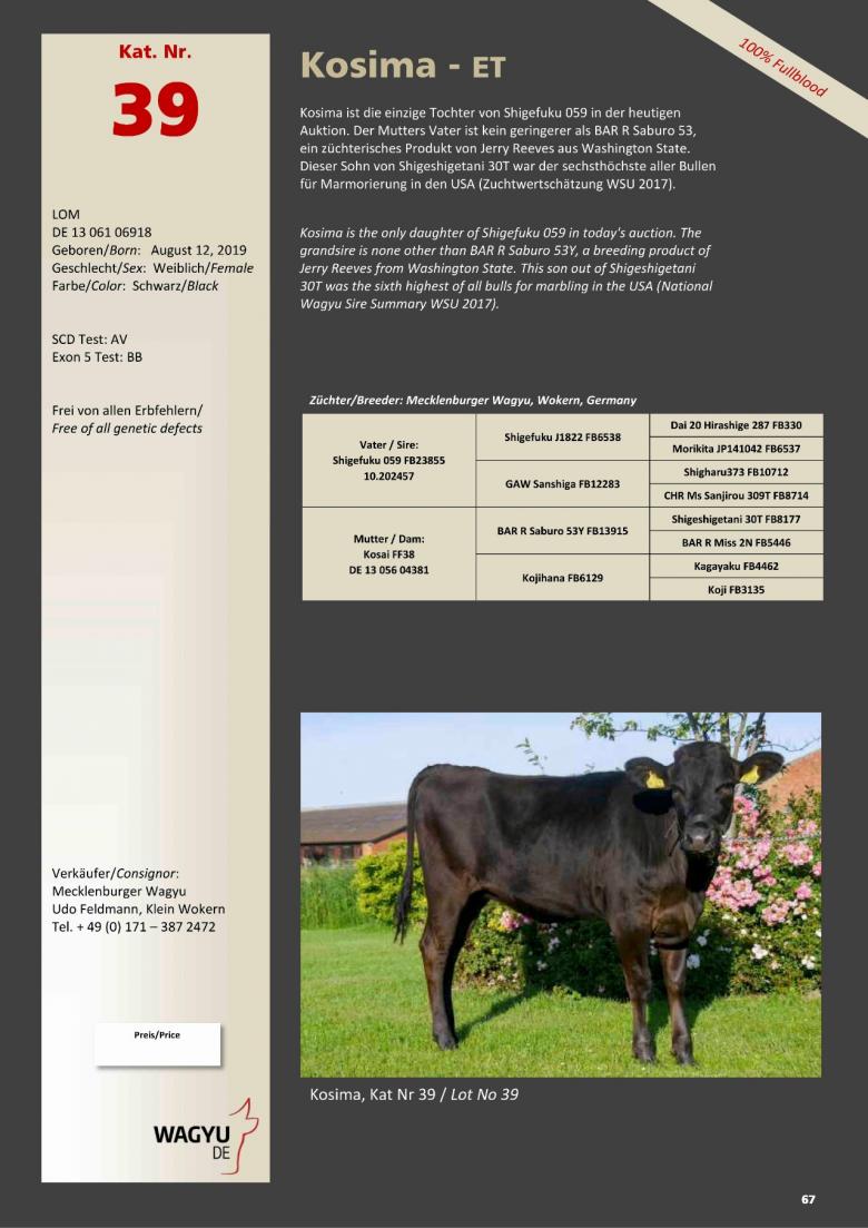 Datasheet for Lot 39. Kosima-ET