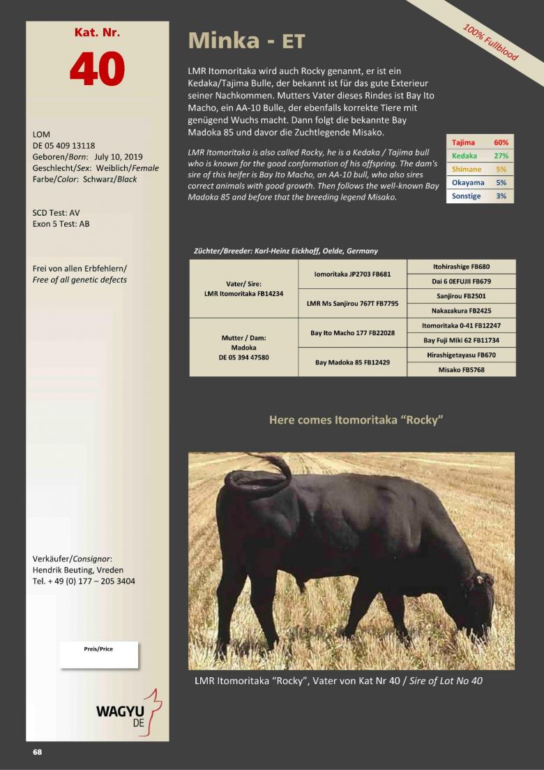 Datasheet for Lot 40. Minka-ET