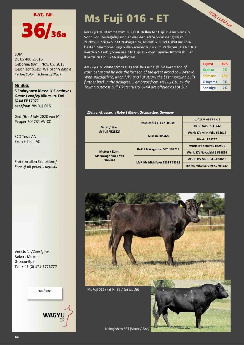 Datasheet for Lot 36A.  5 embryos (Grade A) Kikutsuru Doi 624A FB17077 x Ms Fuji 016-ET DE 05 406 55016